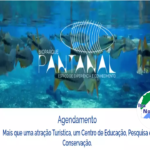 Além do agendamento, Bioparque Pantanal disponibiliza vagas limitadas para cadastro no local.