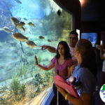 Bioparque garante inclusão de pessoas cegas com visitas guiadas e uso de tecnologia